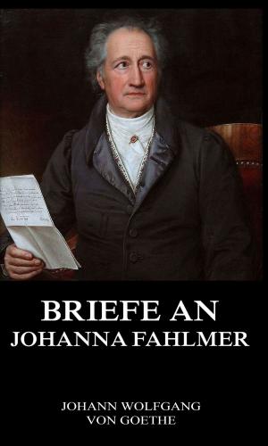 Book cover of Briefe an Johanna Fahlmer
