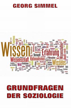 Book cover of Grundfragen der Soziologie