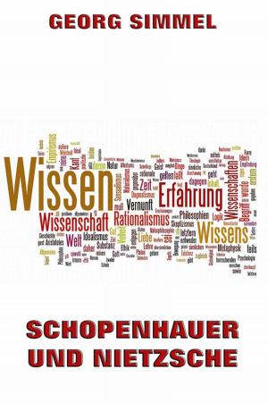 Book cover of Schopenhauer und Nietzsche