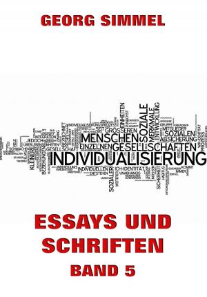 Book cover of Essays und Schriften, Band 5