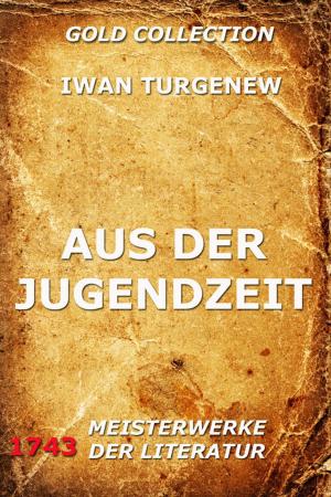 Cover of the book Aus der Jugendzeit by August Reissmann