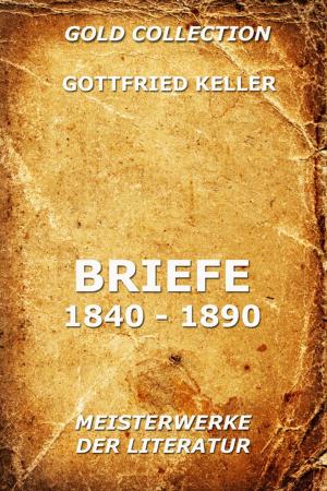 Book cover of Briefe 1840 - 1890