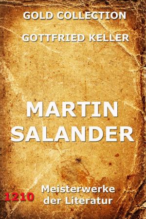 Cover of the book Martin Salander by Heinrich Heine