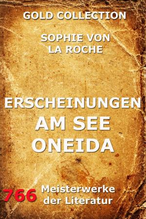 Book cover of Erscheinungen am See Oneida