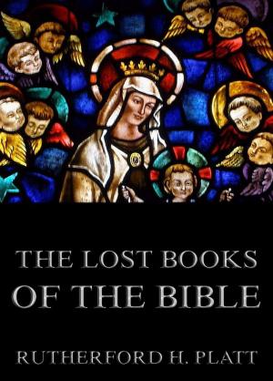 Cover of the book The Lost Books Of The Bible by Ferdinand Emmerich
