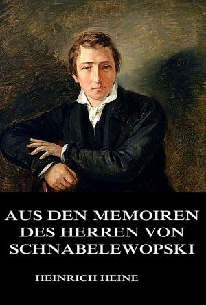 Book cover of Aus den Memoiren des Herrn von Schnabelewopski