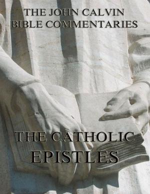 Cover of the book John Calvin's Commentaries On The Catholic Epistles by Karl Immermann
