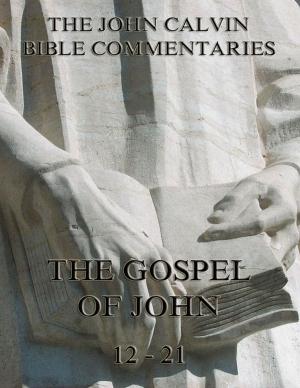 Cover of the book John Calvin's Commentaries On The Gospel Of John Vol. 2 by Luigi Albano