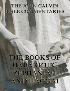 Cover of the book John Calvin's Commentaries On Habakkuk, Zephaniah, Haggai by Charles Brodie Patterson