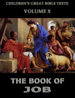 bigCover of the book The Book Of Job by 