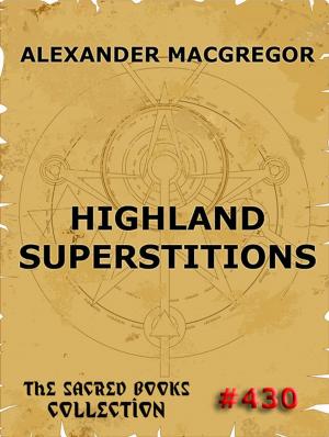 Cover of the book Highland Superstitions by Elisabeth Werner