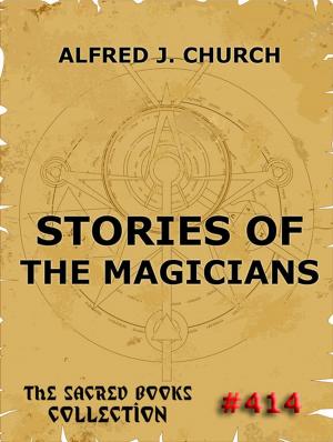 Book cover of Stories Of The Magicians