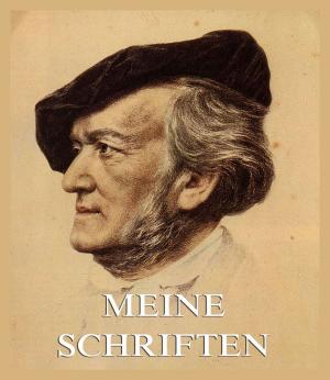 Cover of the book Meine Schriften by Fanny Lewald