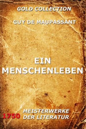 Cover of the book Ein Menschenleben by James Hastings