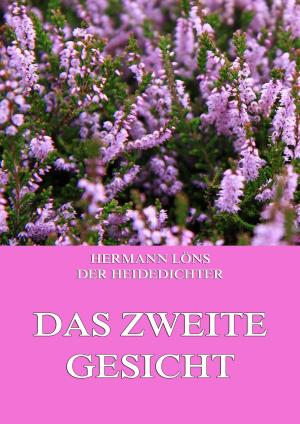 Cover of the book Das zweite Gesicht by Katherine Berry Judson
