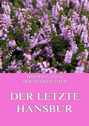 Cover of the book Der letzte Hansbur by Friedrich Wilhelm Hackländer