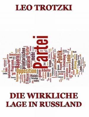 Cover of the book Die wirkliche Lage in Rußland by Gottfried Keller
