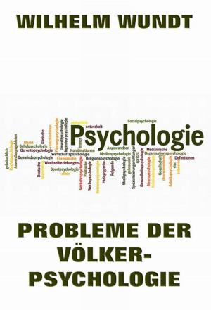 Cover of the book Probleme der Völkerpsychologie by Shirley C. Hughson