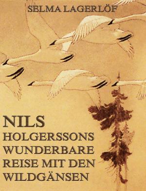 Cover of the book Nils Holgerssons wunderbare Reise mit den Wildgänsen by James Hastings