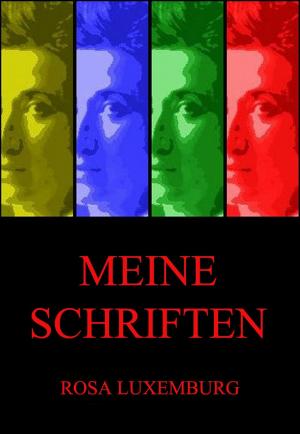 Book cover of Meine Schriften