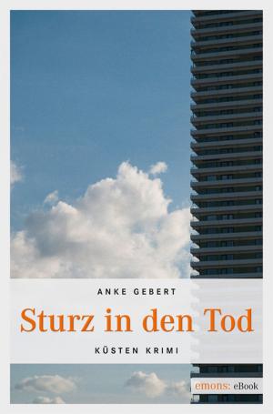Cover of the book Sturz in den Tod by Anke Gebert