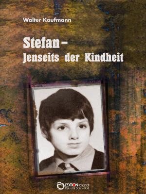 Cover of the book Stefan - Jenseits der Kindheit by Hardy Manthey