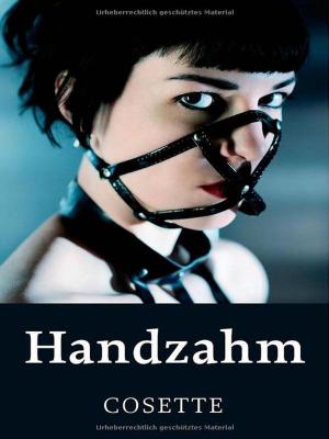 Cover of the book Handzahm by Cosette