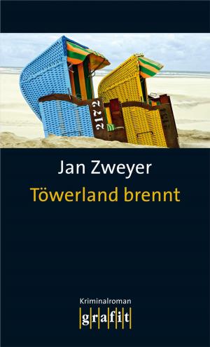 Cover of the book Töwerland brennt by Martin Calsow