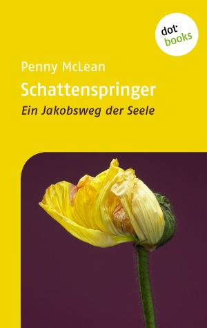 Cover of the book Schattenspringer by Thomas Jeier