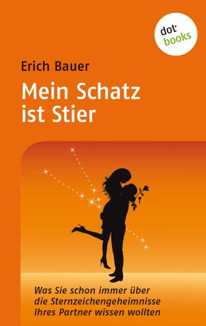Cover of the book Mein Schatz ist Stier by Tina Uebel