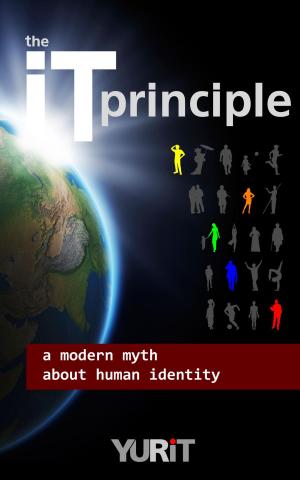 Cover of the It principle
