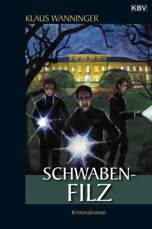 Book cover of Schwaben-Filz