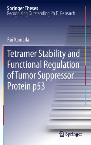 Cover of the book Tetramer Stability and Functional Regulation of Tumor Suppressor Protein p53 by Kiyohiro Ikeda, Kazuo Murota