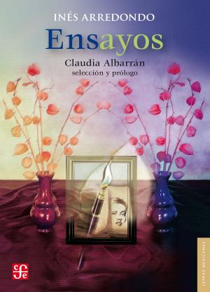Cover of the book Ensayos by Dominic Bellavance