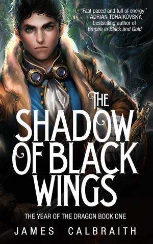 Book cover of The Shadow of Black Wings