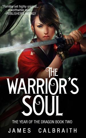 Cover of the book The Warrior's Soul by Rudy Rucker