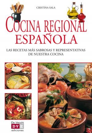 Book cover of Cocina regional española