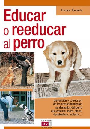 Cover of the book Educar o reeducar al perro by E. Canella
