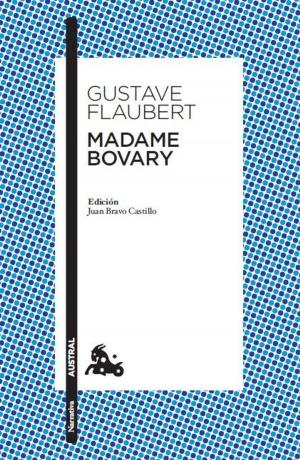 Cover of the book Madame Bovary by Marcelo López, Feliciana Merino