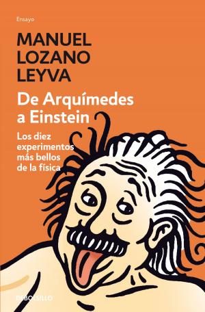 Cover of the book De Arquímedes a Einstein by Paul Daak