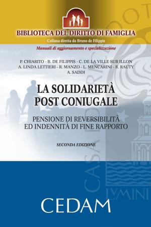 Cover of the book La solidarietà post coniugale by Capo Giovanni, Musio Antonio, Salito Gelsomina (a cura di)