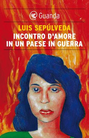 Cover of the book Incontro d'amore in un paese in guerra by Catherine Dunne