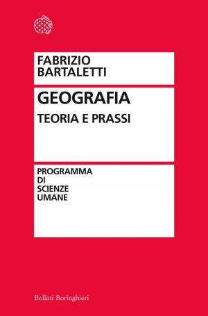 Cover of the book Geografia by Stefan Klein