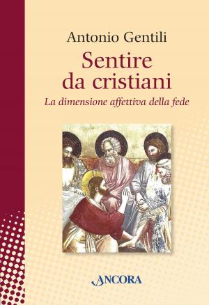 Cover of the book Sentire da cristiani. La dimensione affettiva della fede by Davide Caldirola