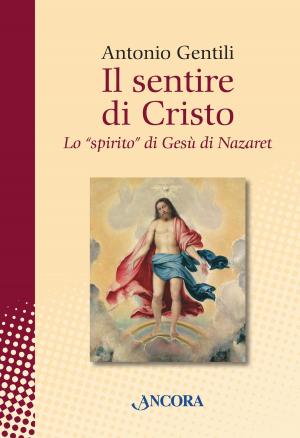 Cover of the book Il sentire di Cristo. Lo "spirito" di Gesu di Nazaret by Valentino Salvoldi