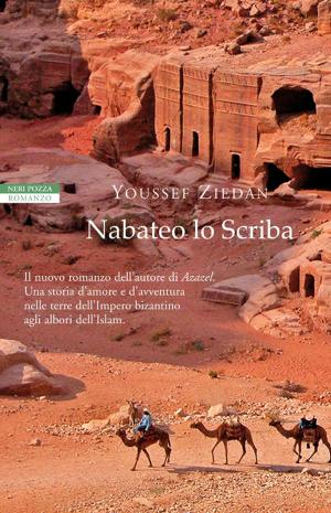 Cover of the book Nabateo lo Scriba by Pier Luigi Vercesi