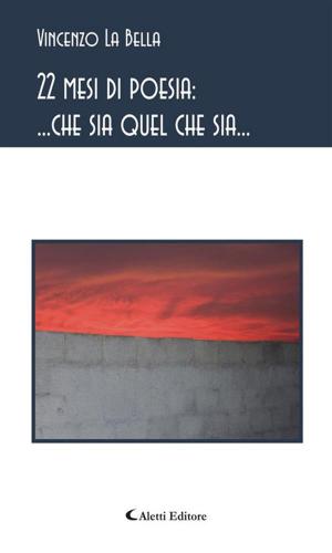 Cover of the book 22 mesi di poesia: ... che sia quel che sia... by Maria Letizia Tosi, Eugenia Toschi, Filippo Marinelli, Giuseppina D’Agostino, Maria Concetta Chiappara, Roberto Cantarini