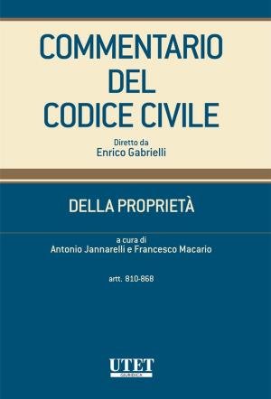 Cover of the book Della Proprietà - artt. 810-868 by Antonio Nicaso, Sergio Schiavone