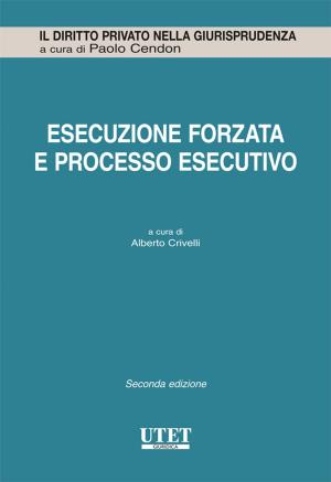 Cover of the book Esecuzione forzata e processo esecutivo (in 3 tomi) by Domenico Borghesi e Luigi De Angelis