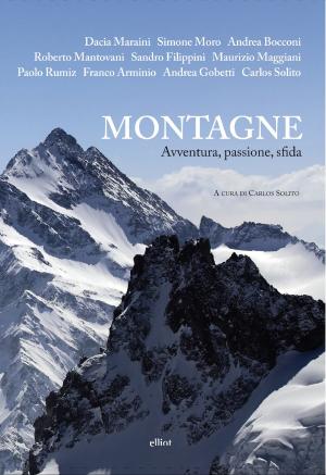 Book cover of Montagne